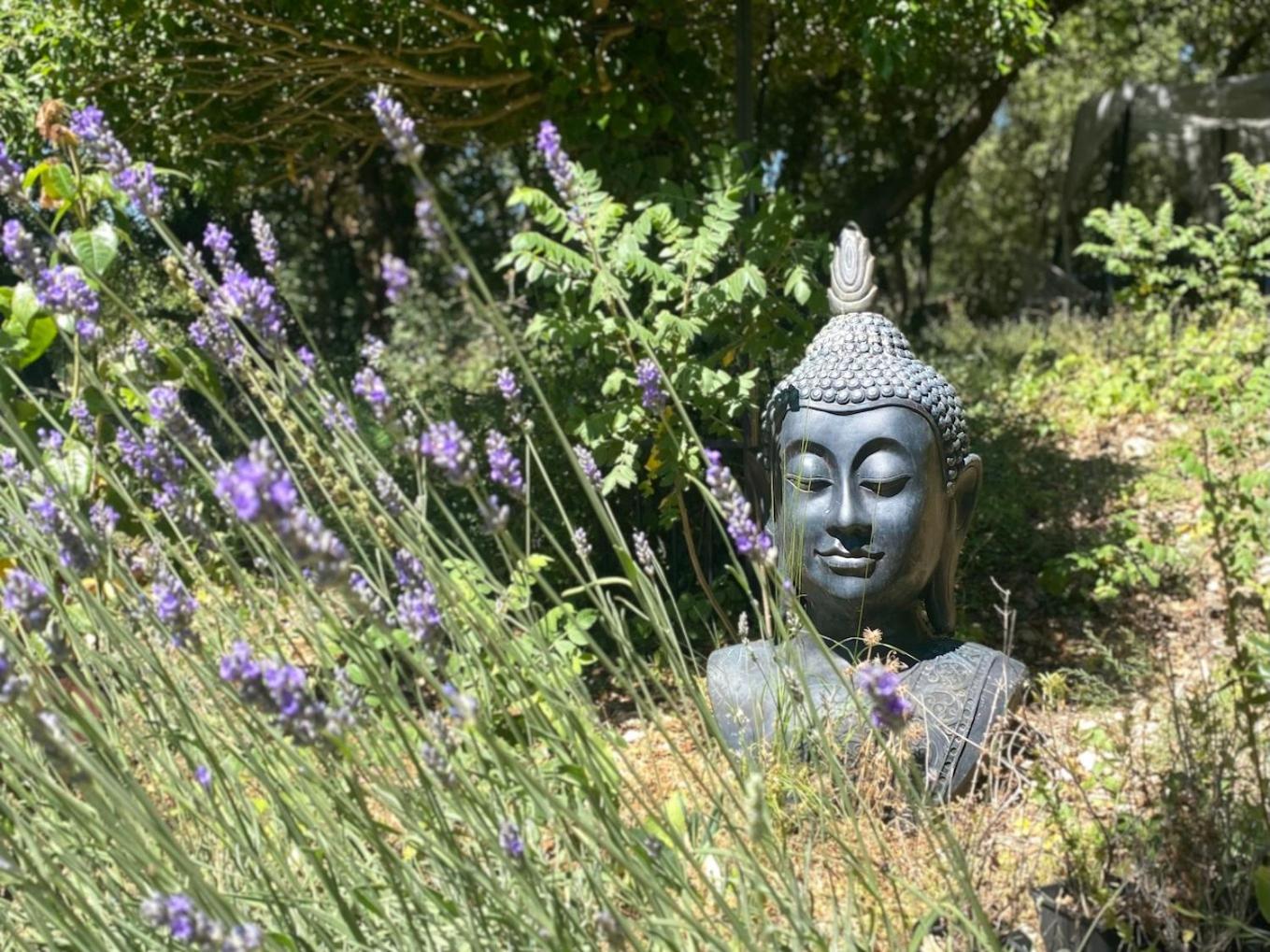 La Vie Est Belle En Provence Bed & Breakfast Tourves Luaran gambar